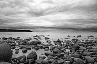 Natuur stenen op het strand van Vancouver Island van Emile Kaihatu thumbnail