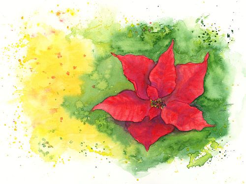 Étoile de Noël