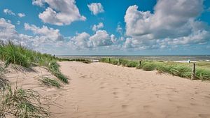 Strandopgang richting het Noordzeestrand van eric van der eijk