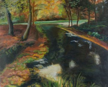 Herbstlicht im Oldenaller Park von fdgArtworks