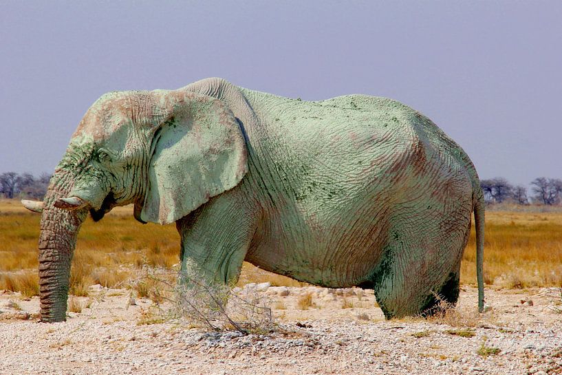 Artistieke olifant van Inge Hogenbijl