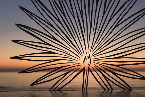 Zonsondergang gezien door een bloem / Sonnenuntergang durch eine Blume gesehen