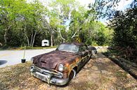 Oldtimer in de Everglades von ellen aerts Miniaturansicht