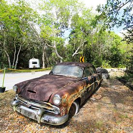 Une Voiture Abandonnée dans les Everglades sur ellen aerts