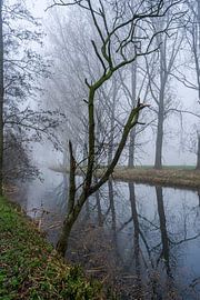 Fog in the polder by Pixel Meeting Point