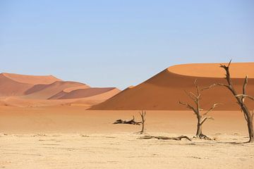 Sossusvlei van Annelies69