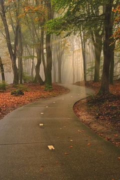 Herbstliche Atmosphäre von John Leeninga
