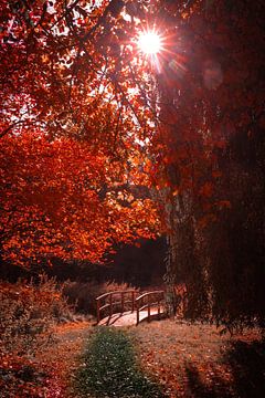 Herfst van Pixel4ormer