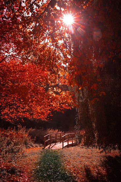 Herbst von Pixel4ormer
