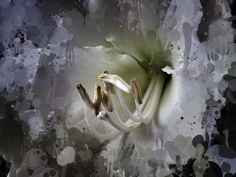 Bloem by Bob Jansen