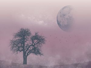 Dreamy landscape by H.Remerie Photography and digital art