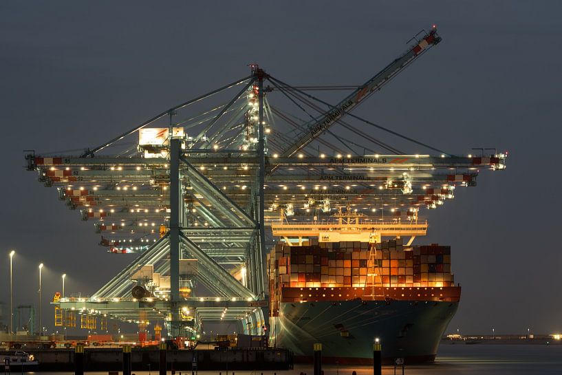 Maersk container ship under cranes illuminated. by Arthur Bruinen