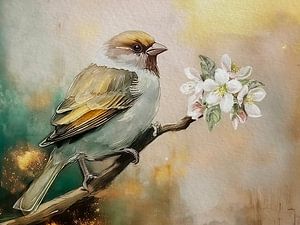 Haussperling auf Ast mit Blüte, Serie: Vögel