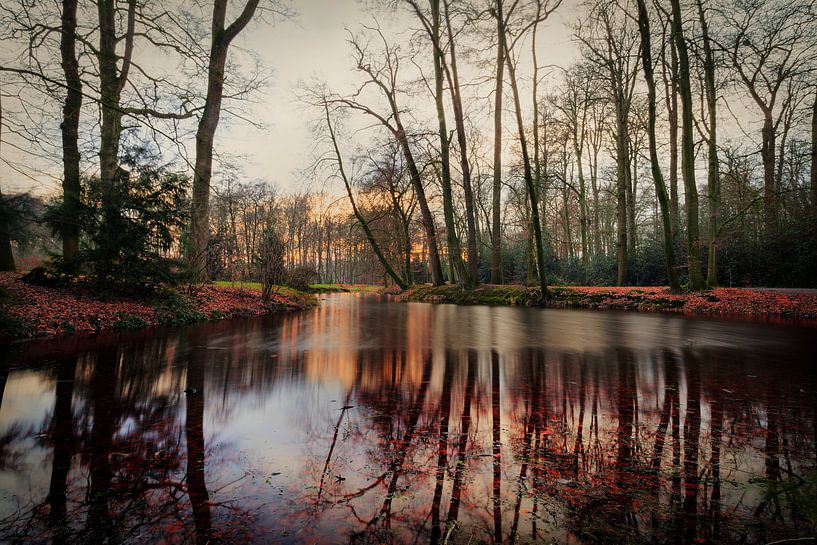 Kasteelvijver in vol ornaat van Jaap Meijer