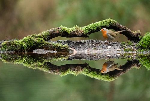 Spiegeltje, spiegeltje