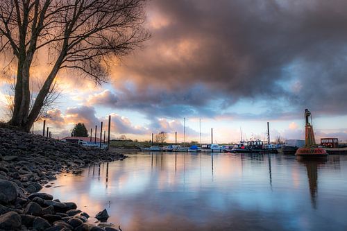 Haven