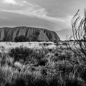 Uluru-Felsen in Australien von Helene van Rijn