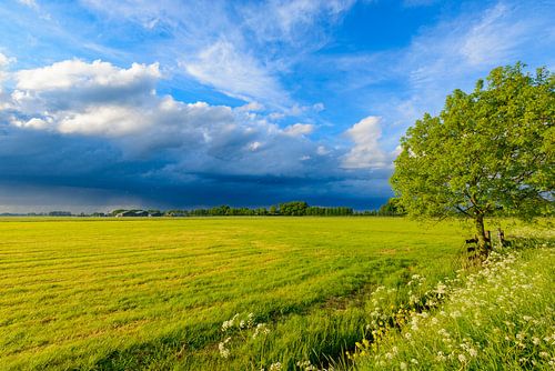 Stormwolken die in het voorjaar over een veld trekken