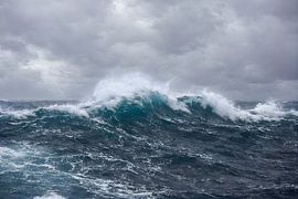 Starke Nordseewelle von Colors of Spring