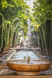 S'Hort del Rei, près du palais de l'Almudaina à Palma de Majorque sur Christian Müringer