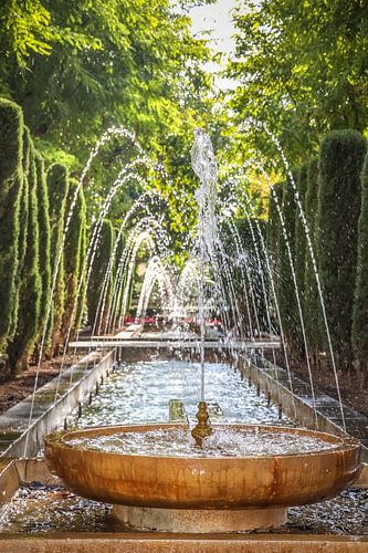 S'Hort del Rei, près du palais de l'Almudaina à Palma de Majorque