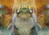 Open the door to summer