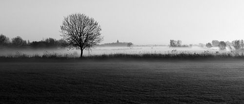 Mistig landschap Oud-Zevenaar