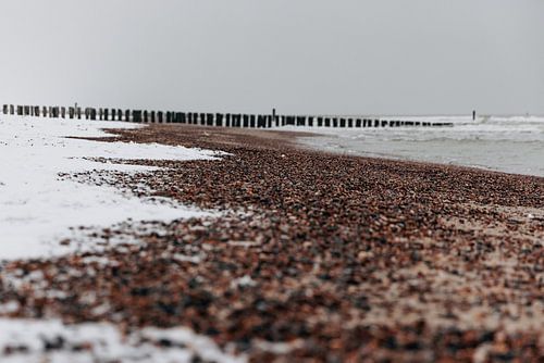 Close-up schelpen en sneeuw