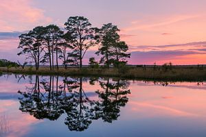 Sonnenuntergang in Holtveen, im Nationalpark Dwingelderveld