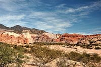 Natural beauty of Quebrada de las Conchas, Salta