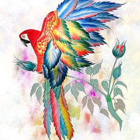 Roses parrot by Dusanka Djeric