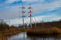 onderstation met hoogspanningsnet in natuurgebied