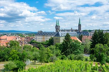 Uitzicht over Bamberg en de kathedraal van Bamberg