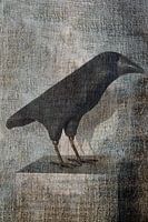 Crow on canvas