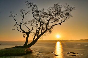 Sunrise at the Scharmützelsee