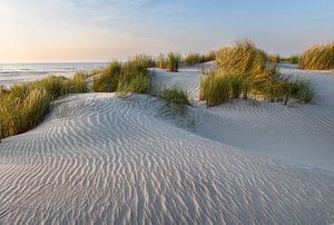Die Dünen von Ameland
