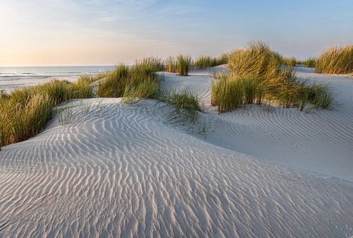 Dunes d'Ameland sur Marco Linssen