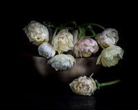 Parelmoer witte pioen tulpen