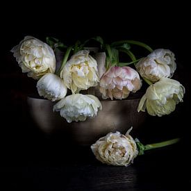 sad white peony tulips by Simone Karis
