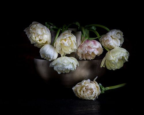 tulipes de pivoines blanches tristes sur Simone Karis