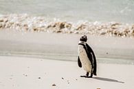 Pinguin von Jan van Kemenade Miniaturansicht