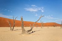 Sossusvlei, Namib Deser, Namibia