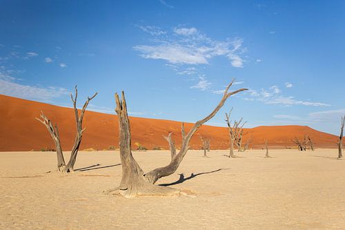 Sossusvlei, Namib Deser, Namibië
