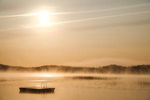 Schwimminsel in einem schwedischen See