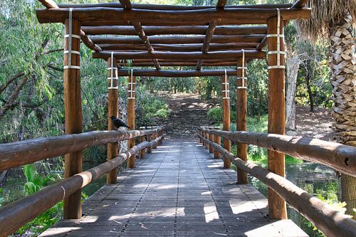 Oude houten brug in John Oldham Park