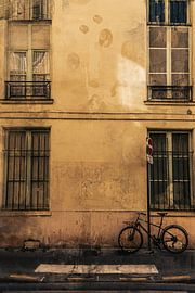 A waiting bicycle in Paris by Geert Van Baelen