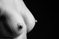 Druppels water die over een blote borst rollen - Erotische wanddecoratie von Retinas Fotografie Miniaturansicht