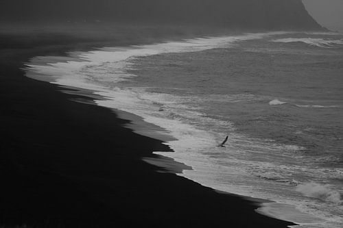 Zwart-wit strand