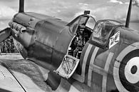 Supermarine Spitfire van Photobywim Willem Woudenberg thumbnail