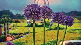 Ornamental leeks by Patricia Piotrak